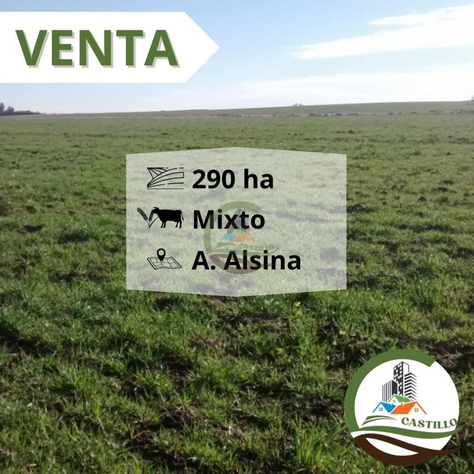 300 ha mixtas - adolfo alsina