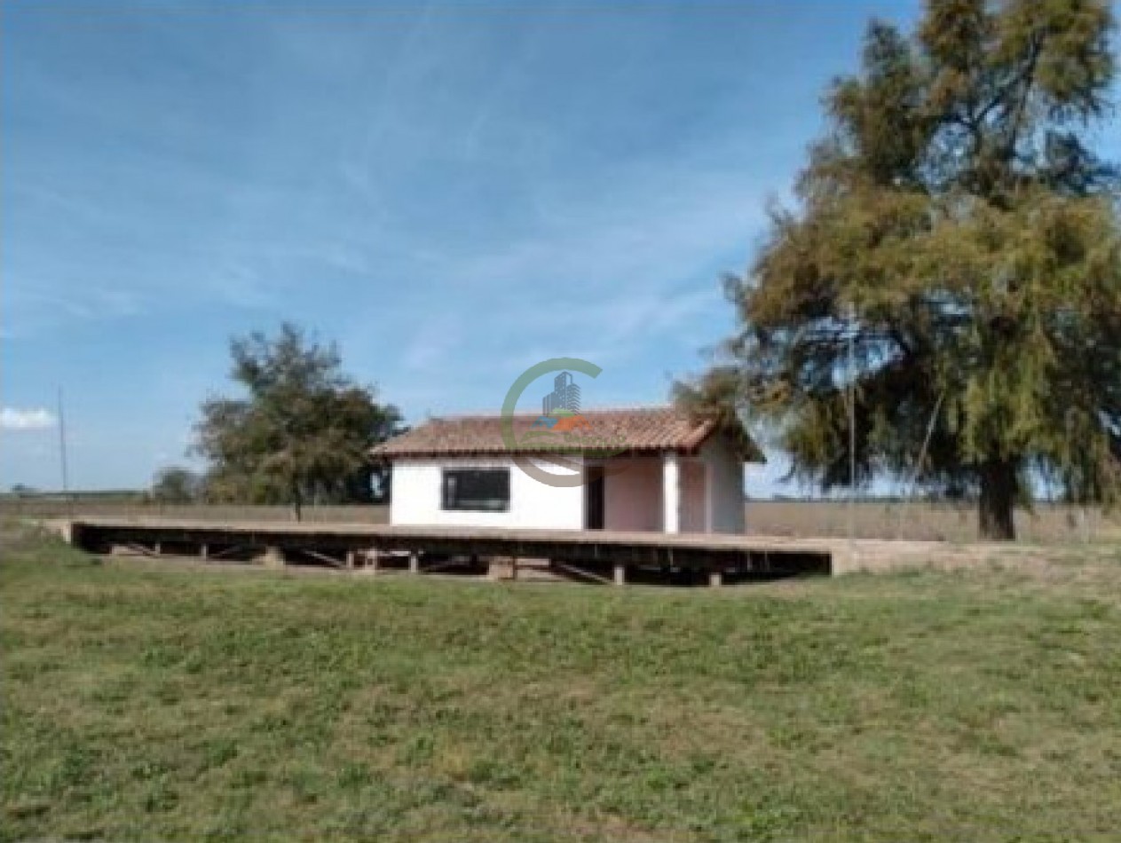 975 Ha Agricolas - San Antonio de Areco