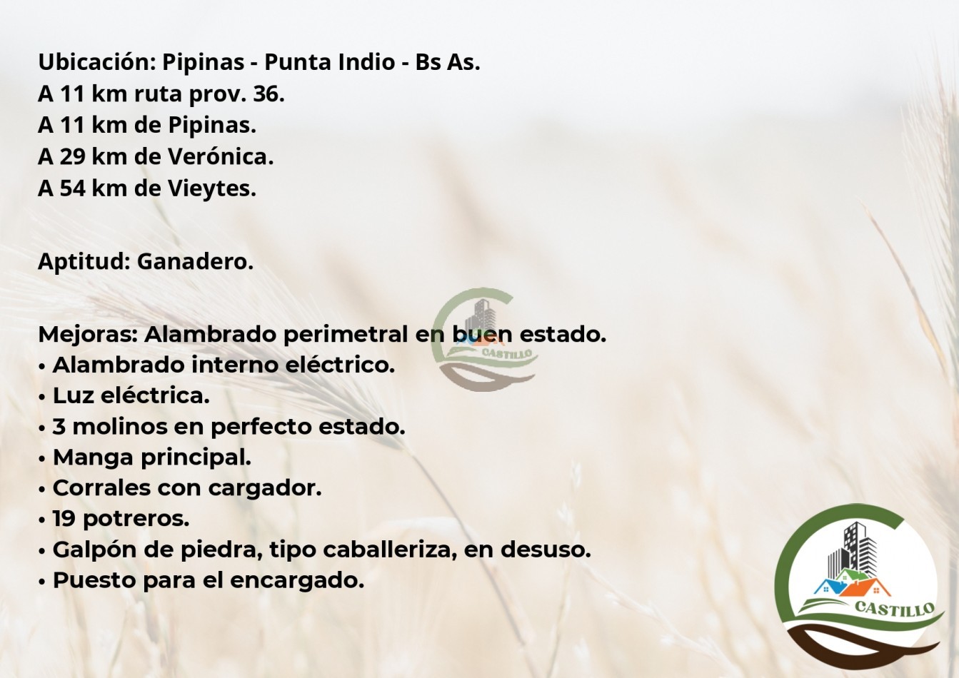 881 ha ganadero . punta indio