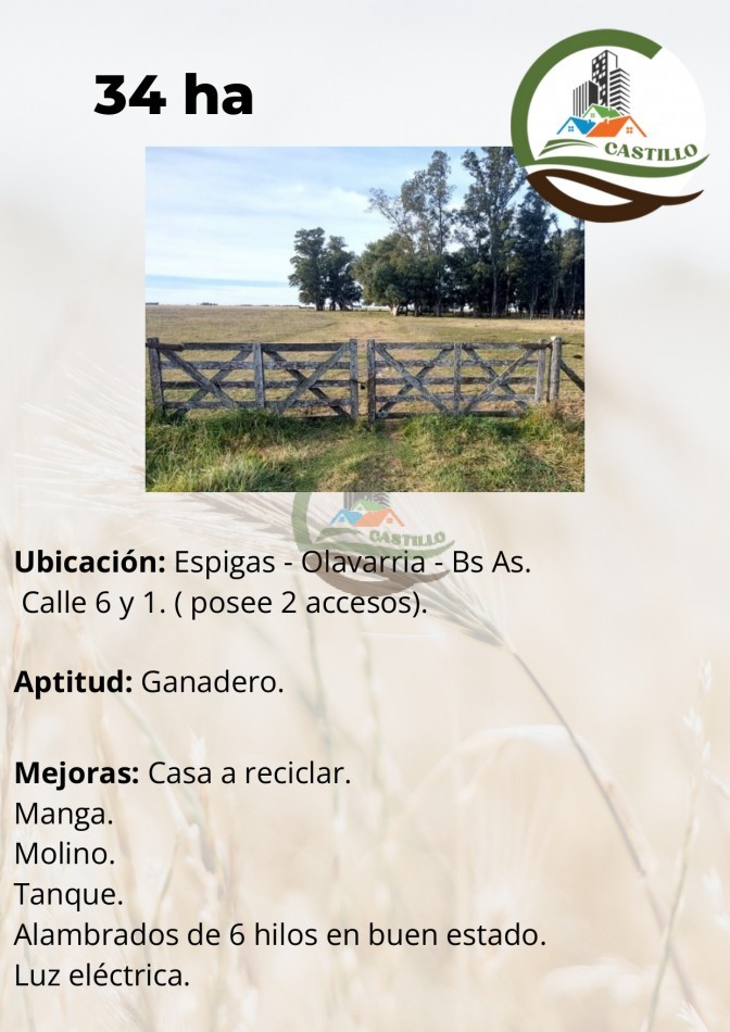34 ha ganadera - Olavarria