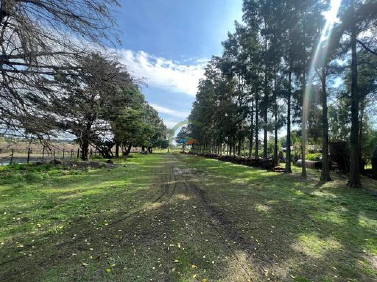 37,5 Ha Agricolas - Zarate