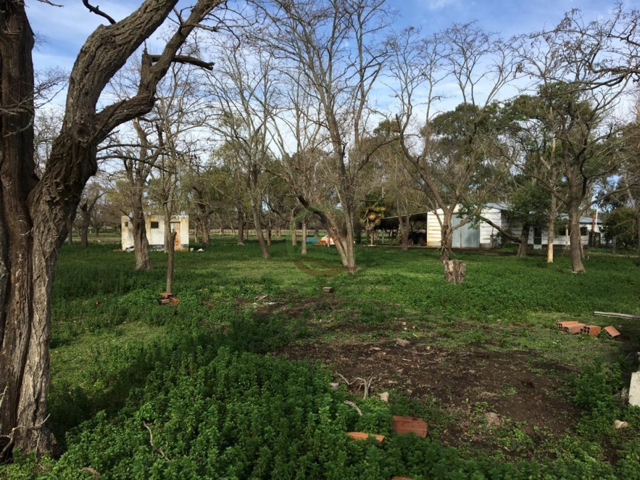 380 ha Mixtas - Bolivar