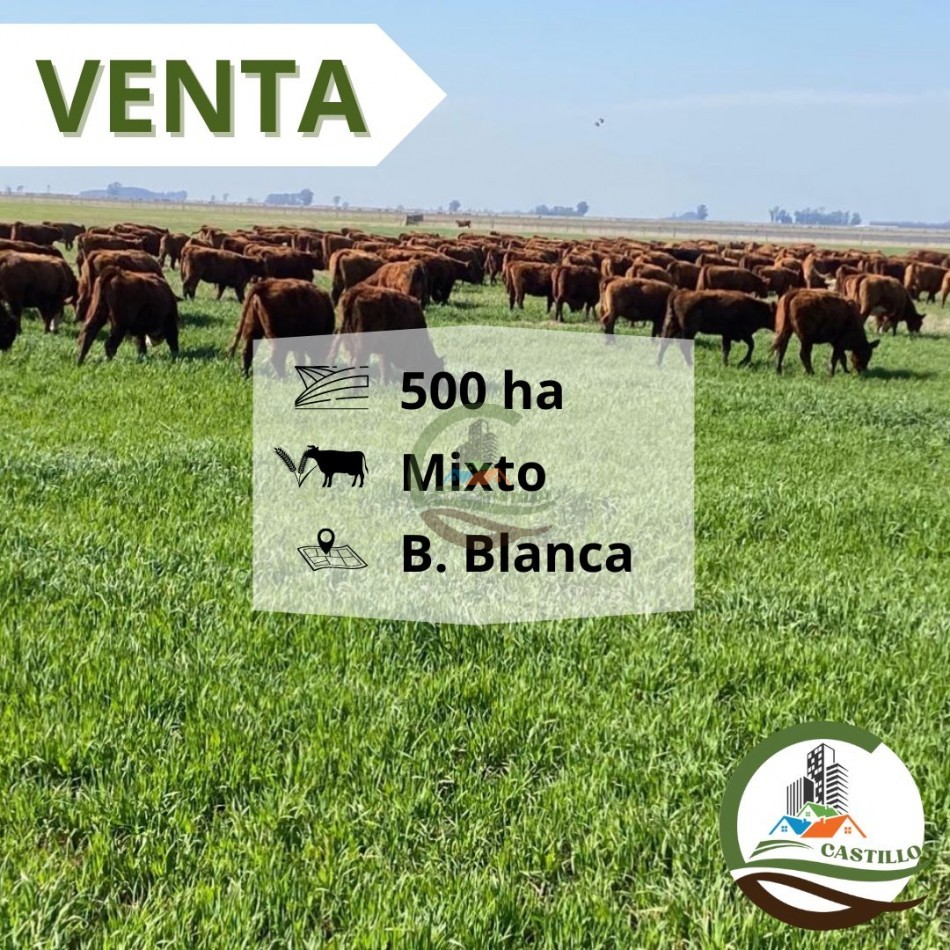 500 ha mixtas - bahia blanca