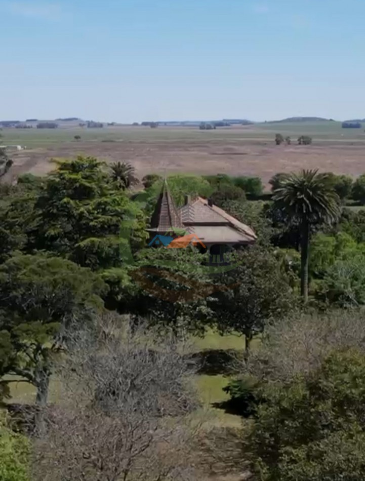 220 ha Agricolas - Balcarce  
