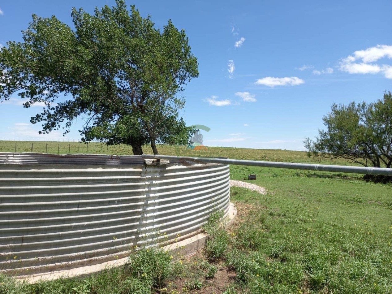 360 ha Mixtas - Tornquist