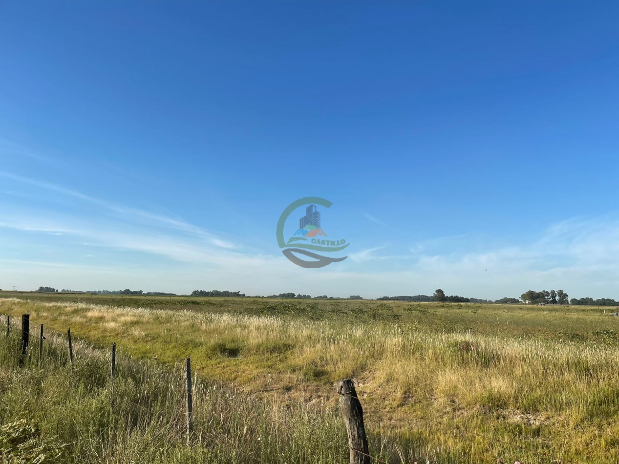 18 ha Mixtos - Pedernales