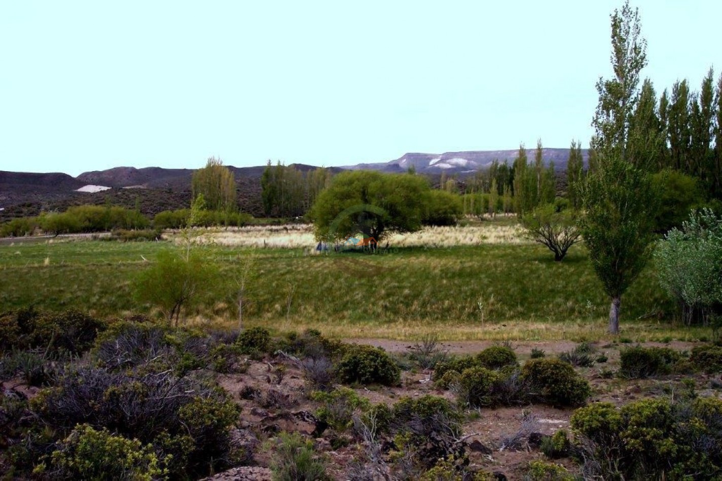 93000 ha Ganaderas - Pasos de los Indios - Chubut