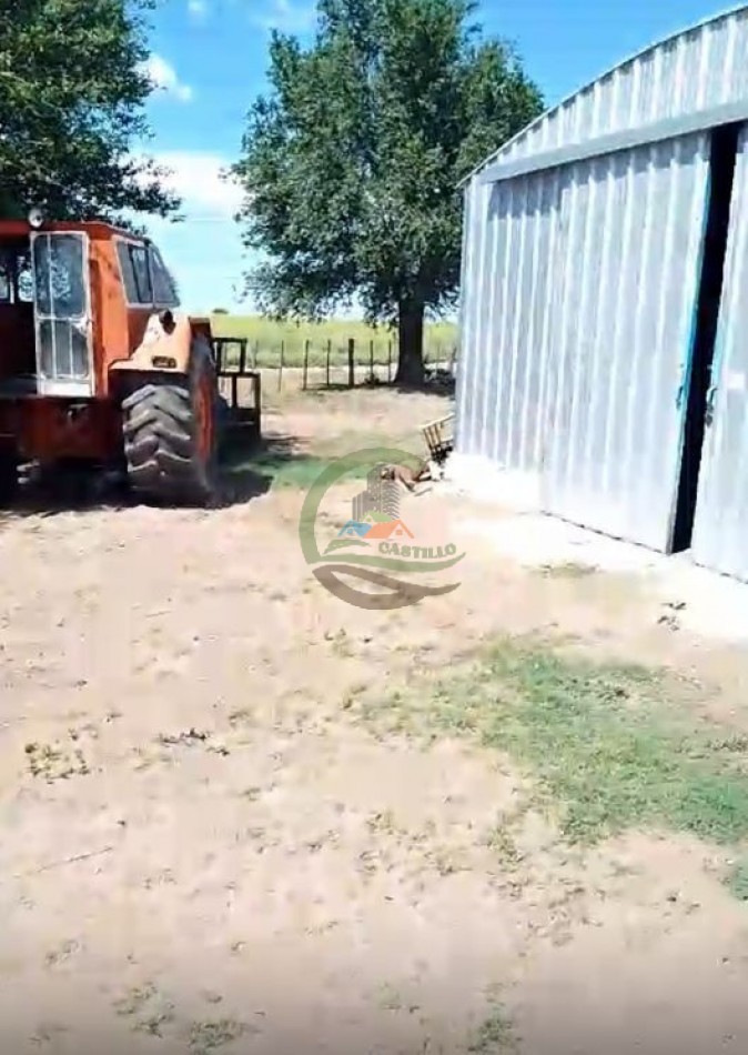 850 Ha Mixto - Puan