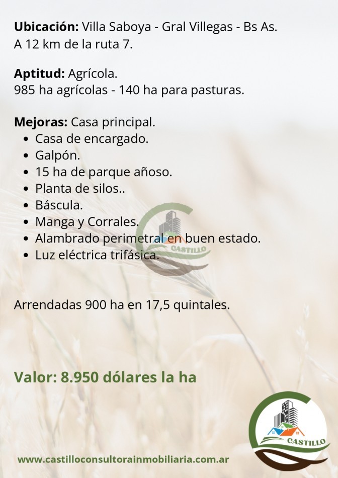 1138 ha agricolas - gral villegas