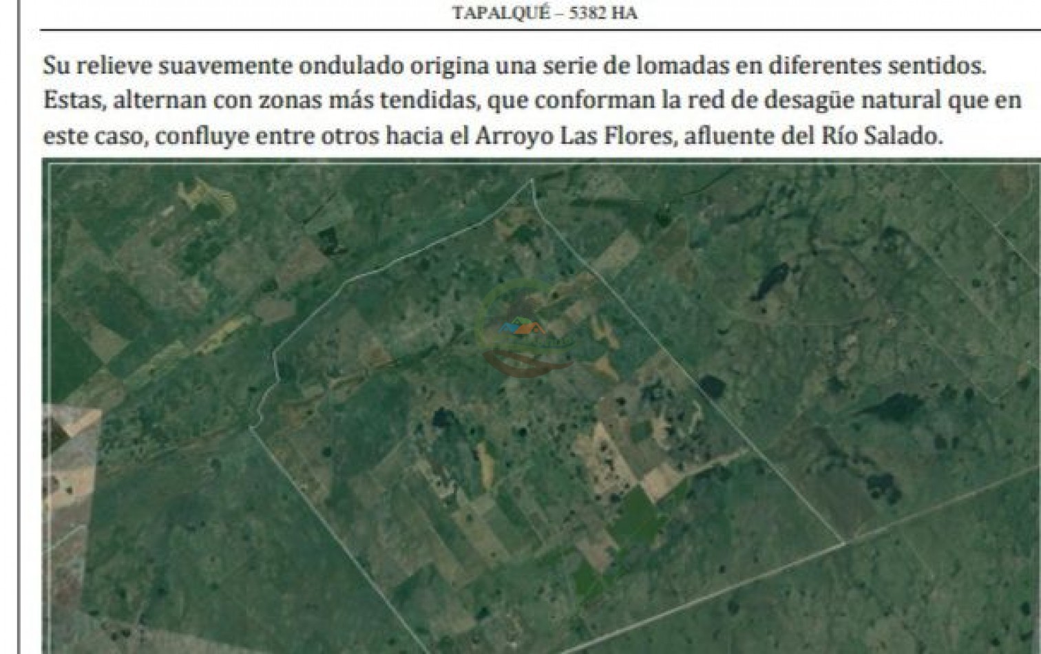 5382,89 Ha Mixtas - Tapalque