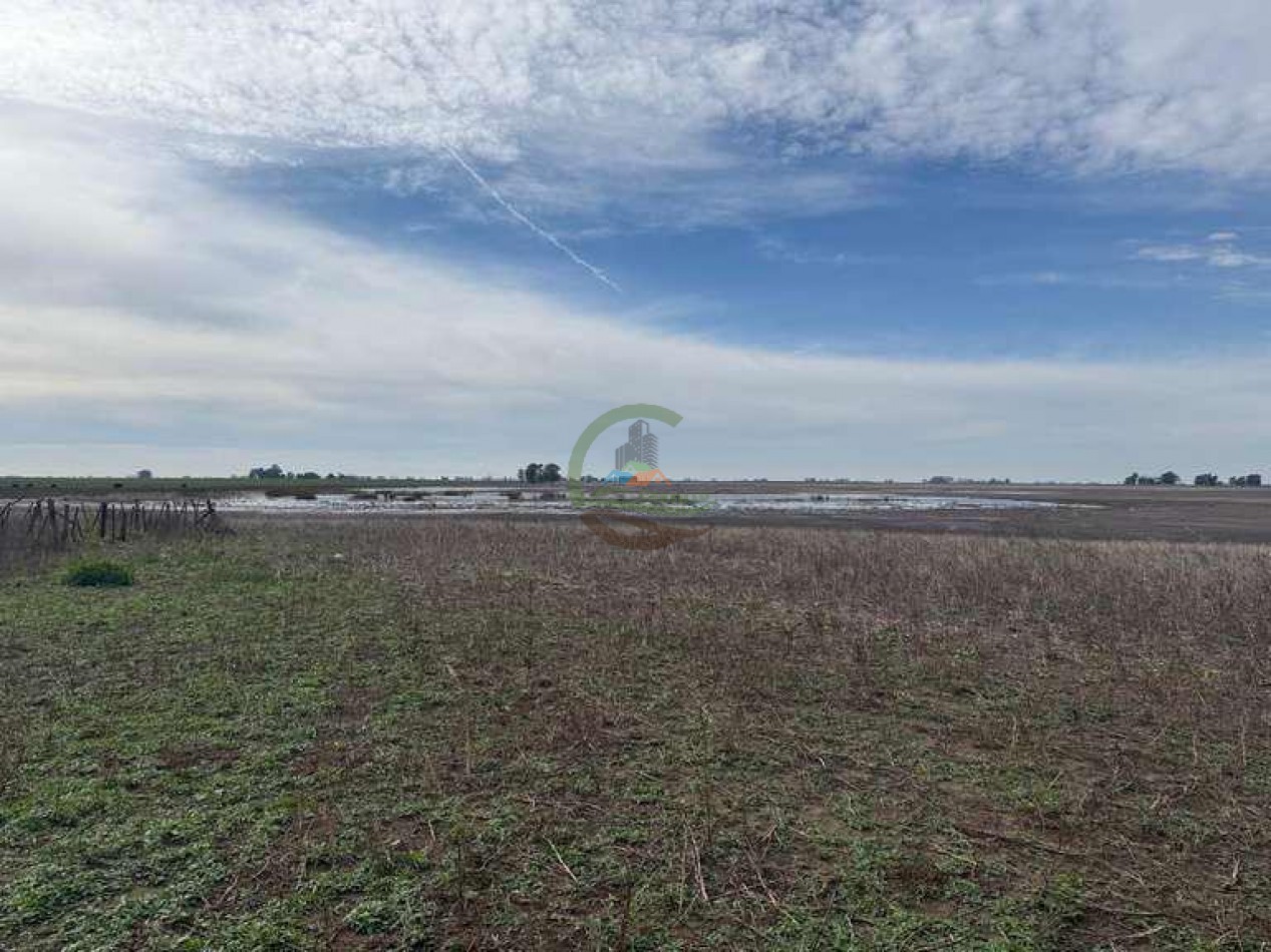 639 Ha Mixto - Urdampilleta - Bolivar
