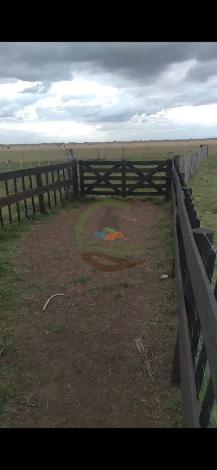 461 Ha Mixto - Recalde