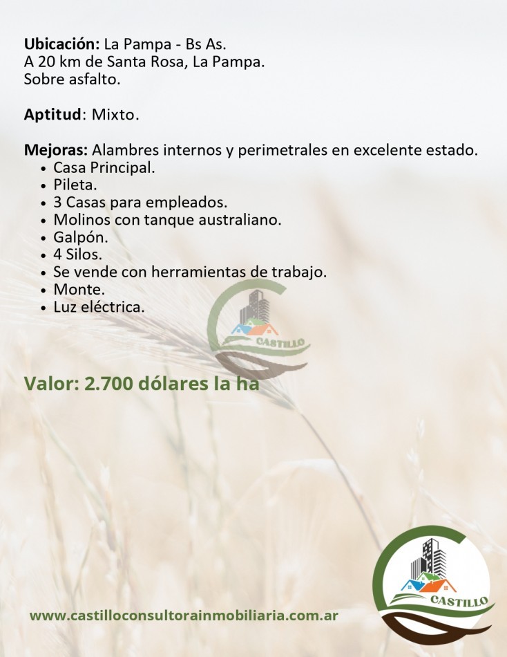 1248 ha mixto - la pampa
