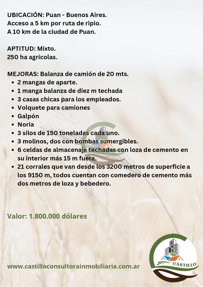 436 ha mixtas - puan