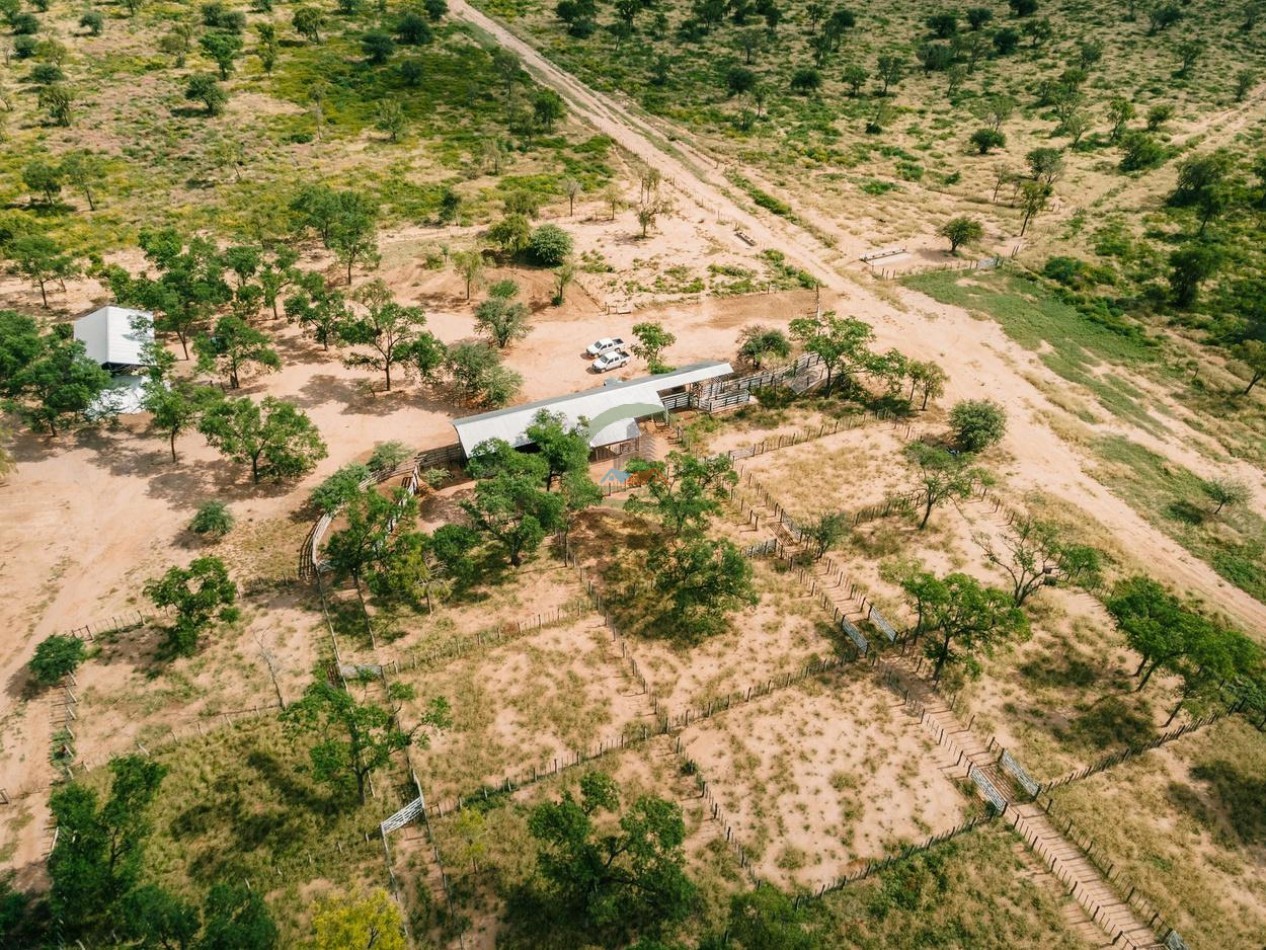 9391 Ha Mixtos - Santiago del Estero