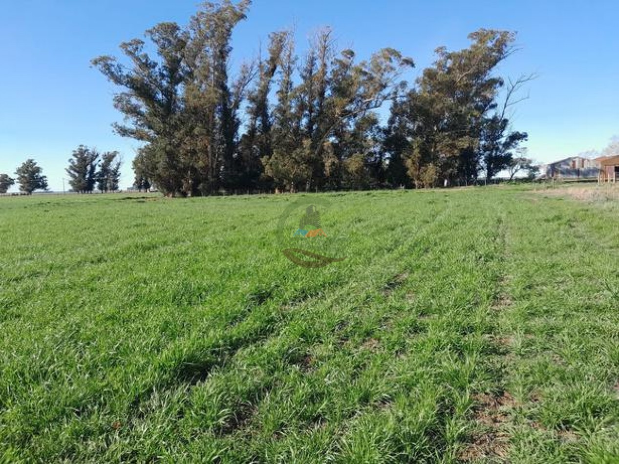 324 Ha Agricolas - San Cayetano