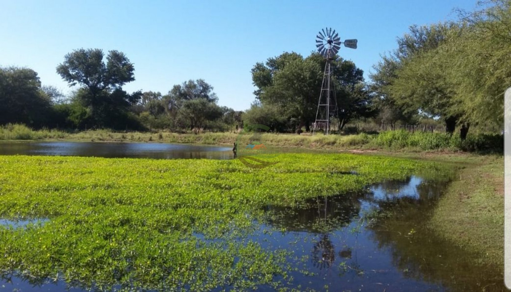 734 ha Ganadero - Santiago del Estero