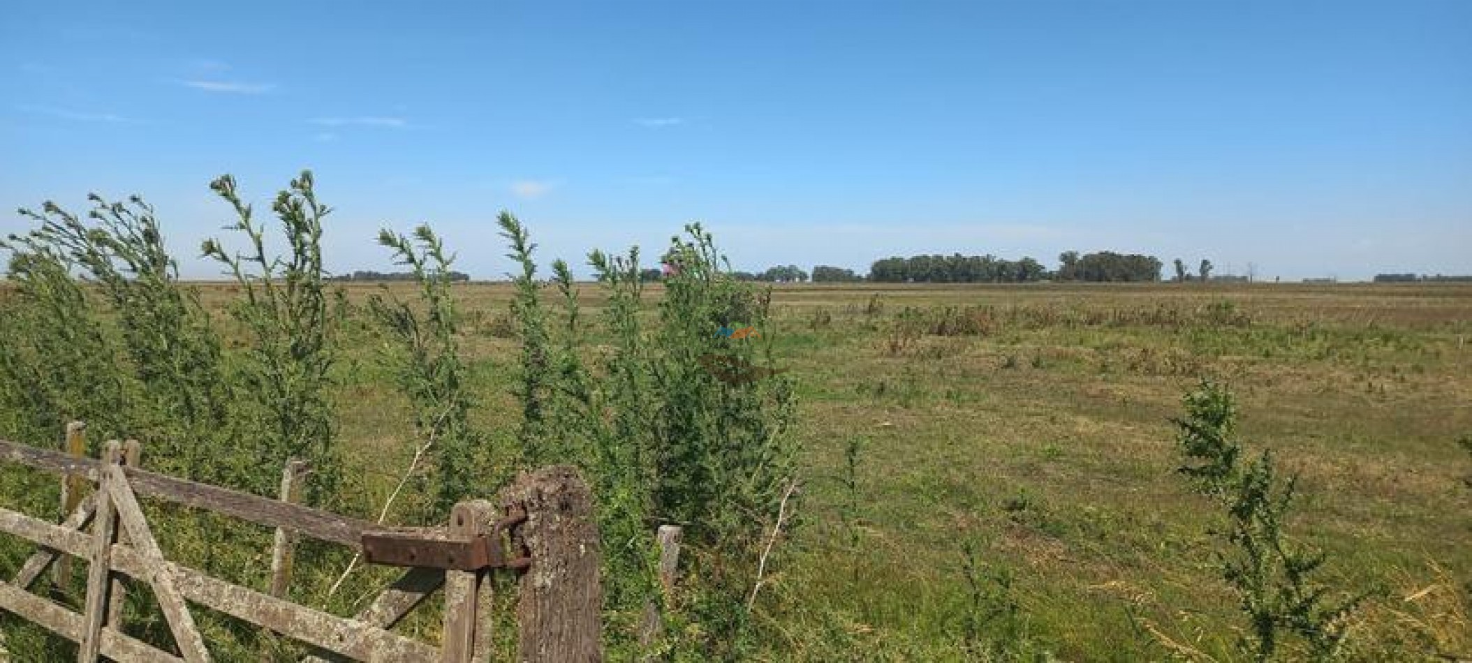 120 Ha Ganadero - Santa Isabel - Gral Alvear