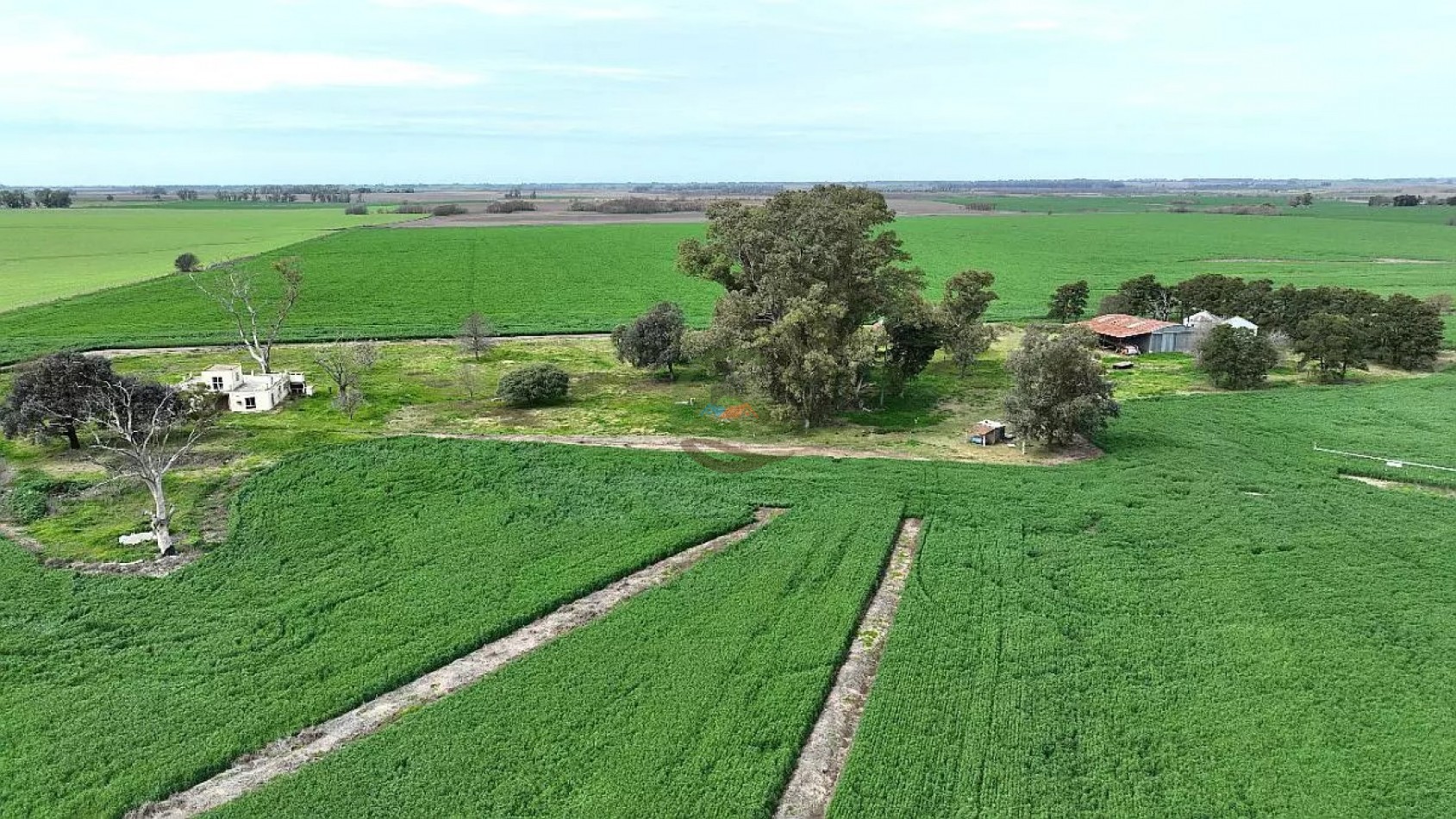 211 Ha Agricolas - Arrecifes