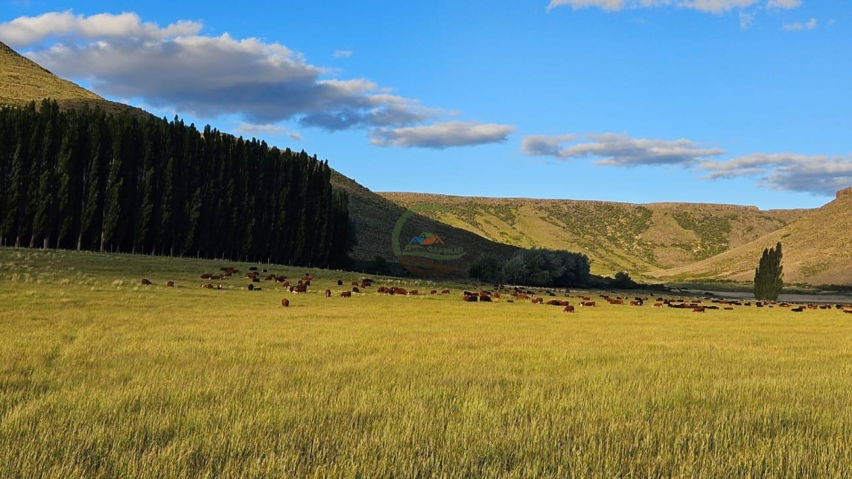4047 Ha Ganadero - Coto de Caza - La Rinconada - Neuquen