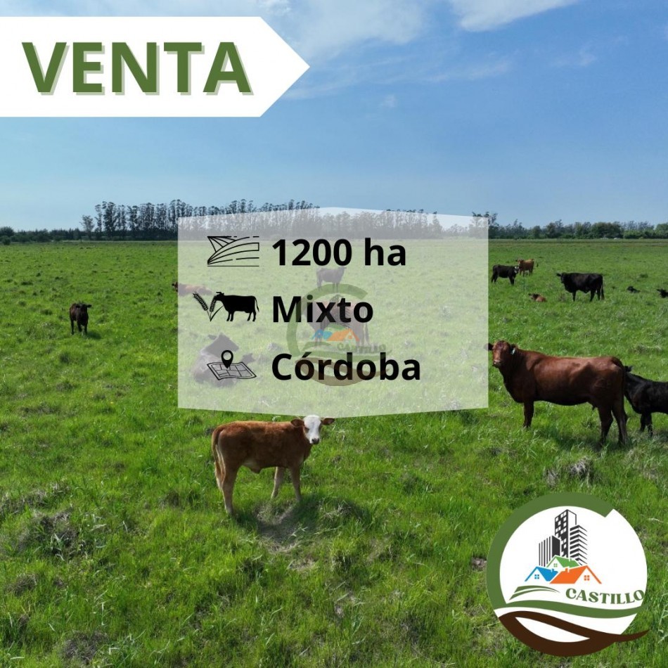 1201 ha mixtas - cordoba