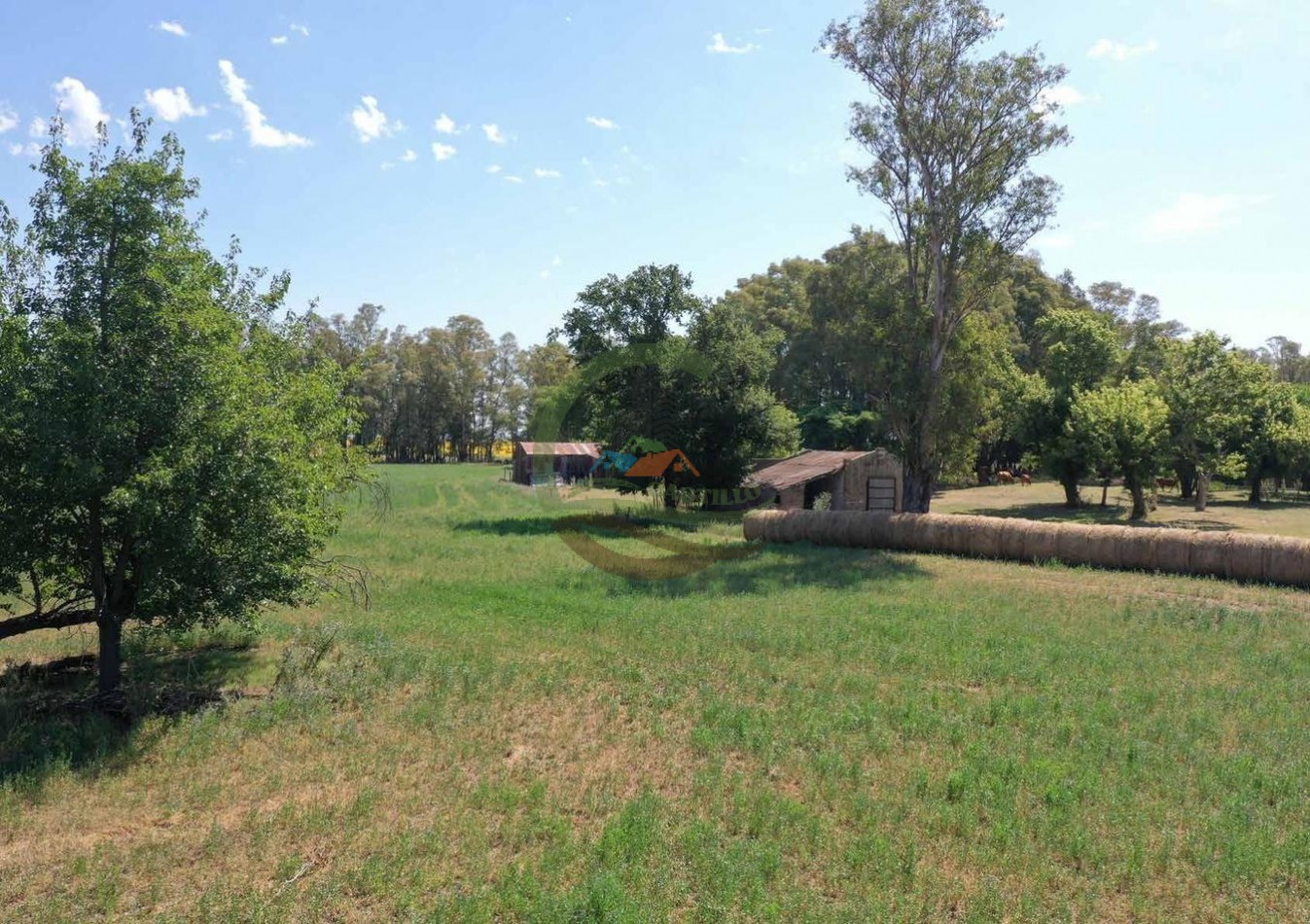 433 ha mixto - Bolivar 