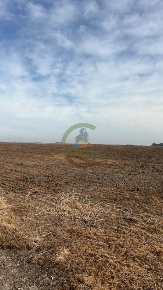 1240 Ha Mixto - 17 de Agosto - Puan