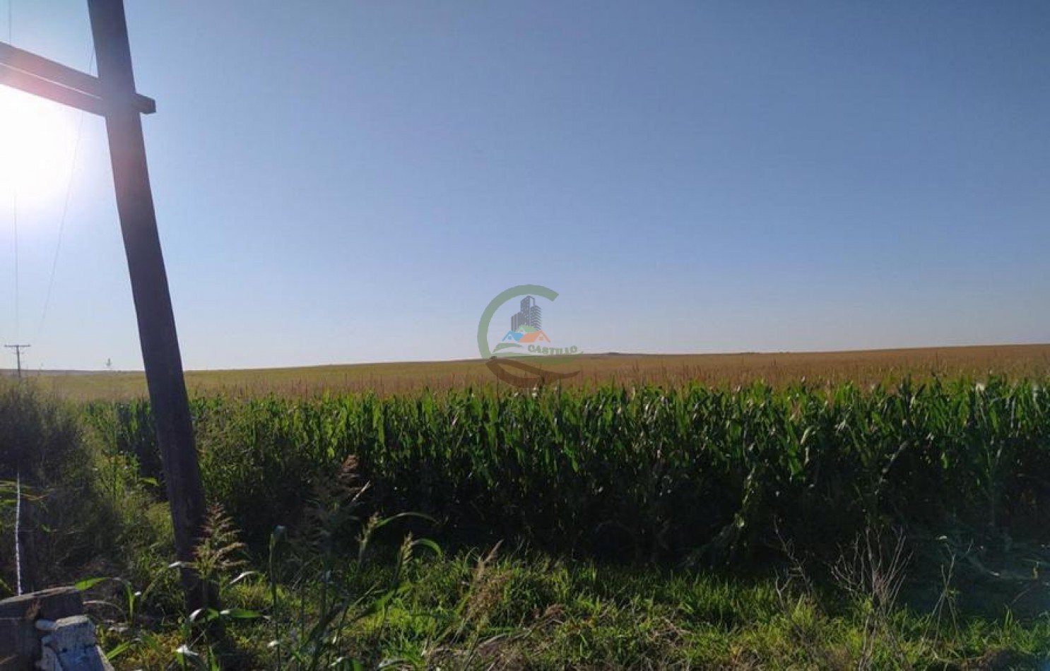 1120 Ha Mixto - Rio Cuarto - Cordoba