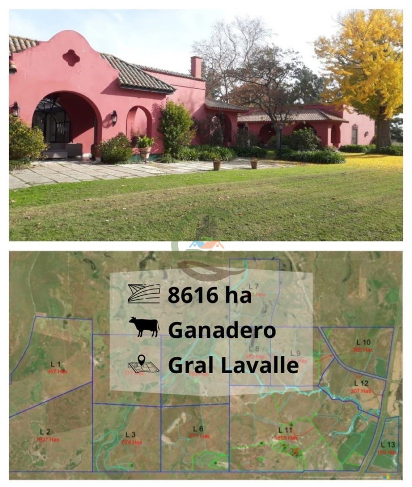 8616 ha Ganadero - Gral Lavalle