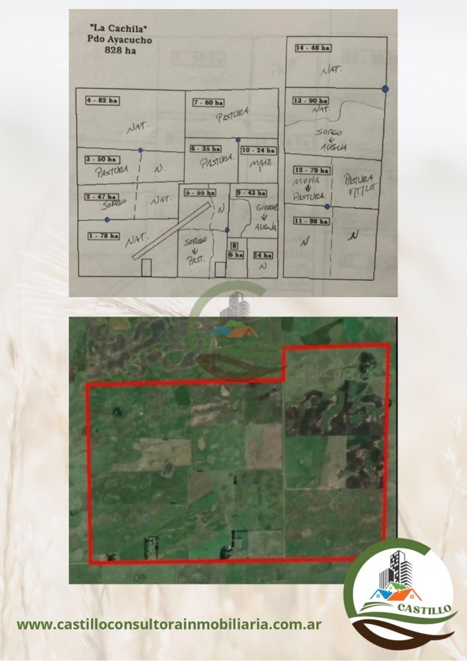 828 ha Mixto - Ayacucho