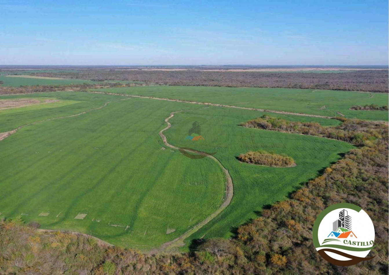2658 ha Mixto - Entre Rios