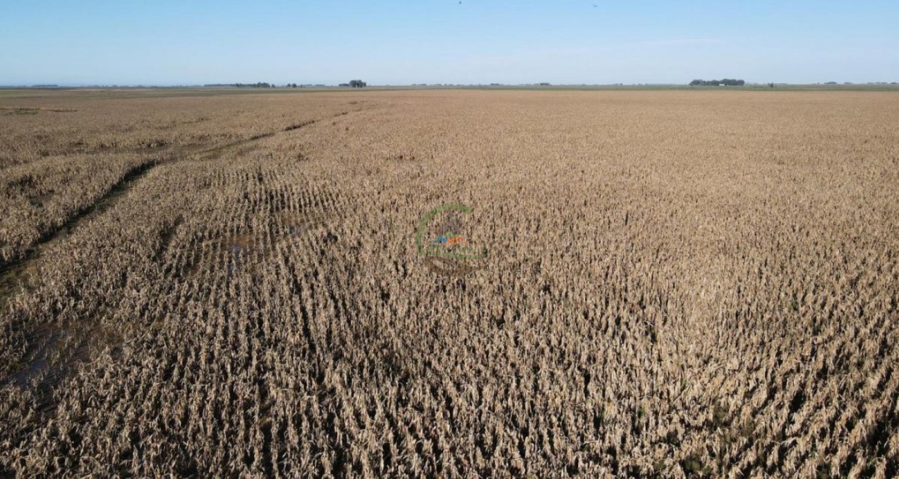 1437 Ha Mixta - Olavarria