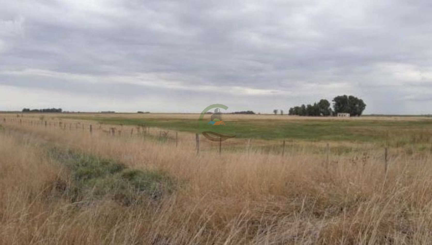 304 ha Mixtas - Olavarria 