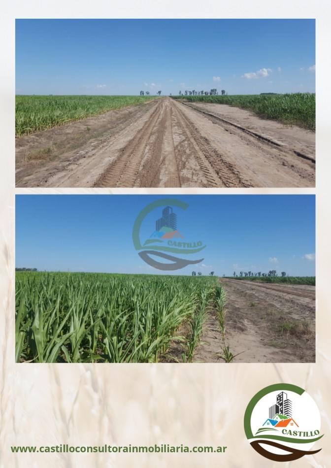 1912 ha agricolas - Cordoba