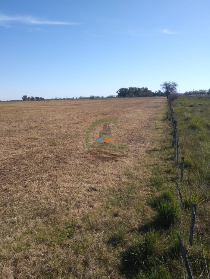 20 ha mixtas - saladillo