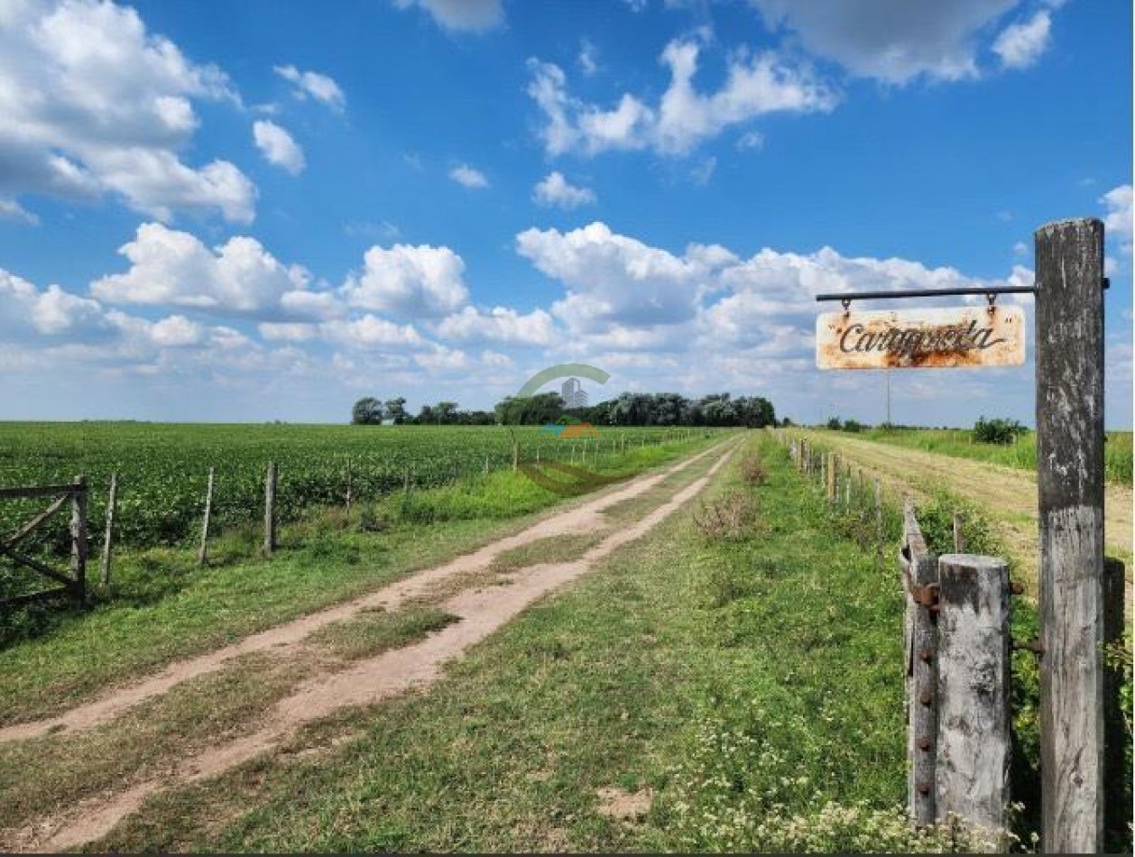 144 Ha Agricolas - Cavanagh - Cordoba 