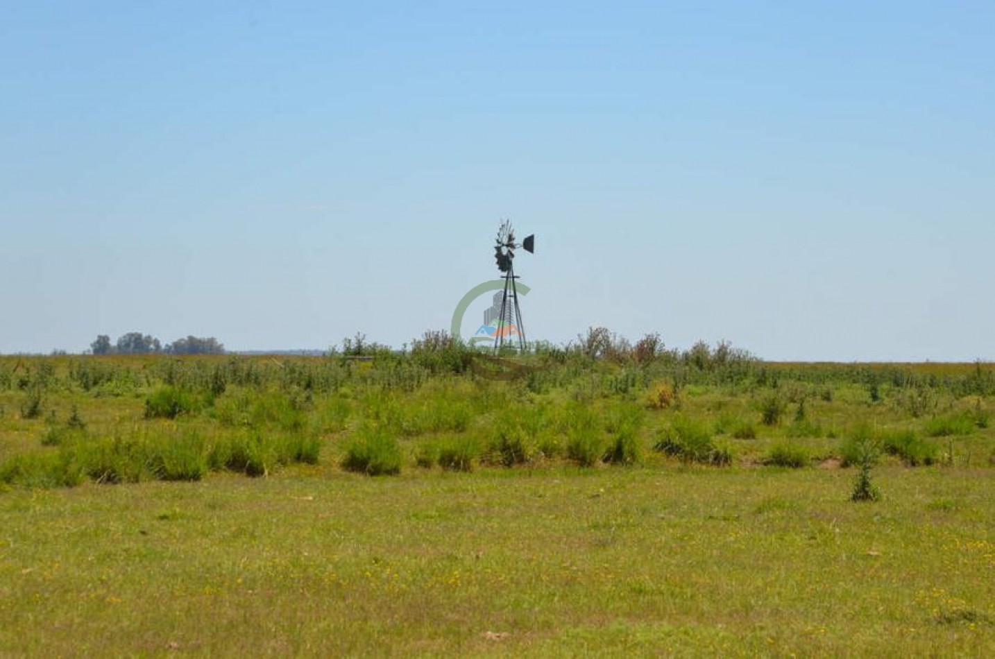 787 Ha Ganadero - Espigas - Olavarria