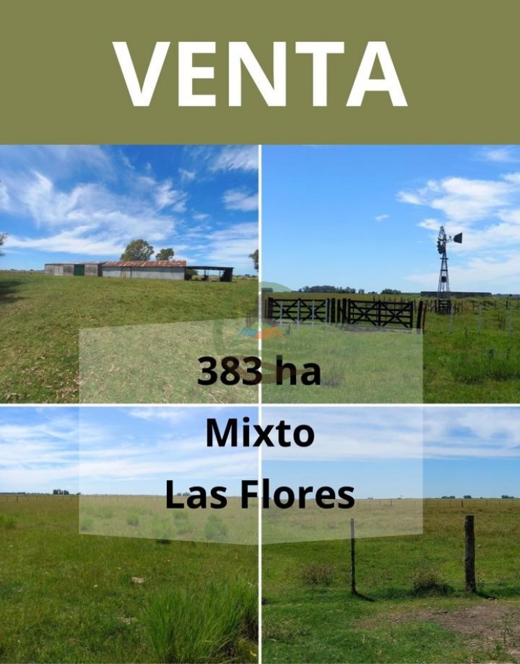 383 ha Mixtas - Las Flores