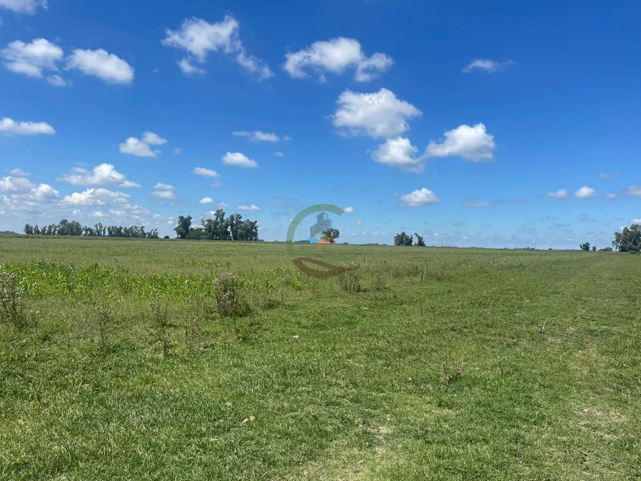 106 ha ganadero - gral alvear