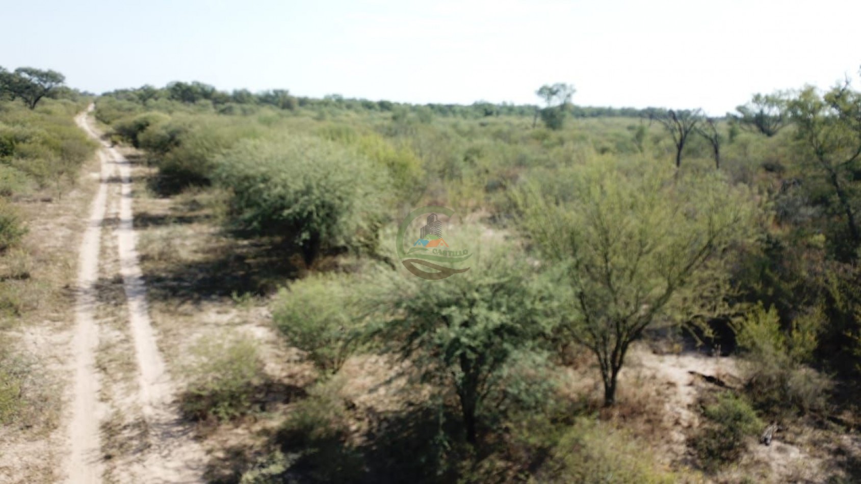 21000 ha mixto santiago del estero