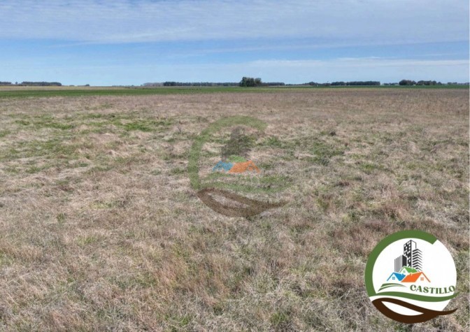 204 ha mixtas - olavarria