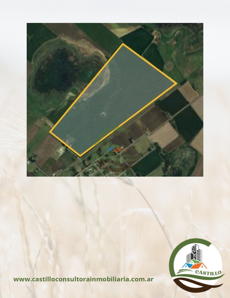 113 ha agricolas - balcarce