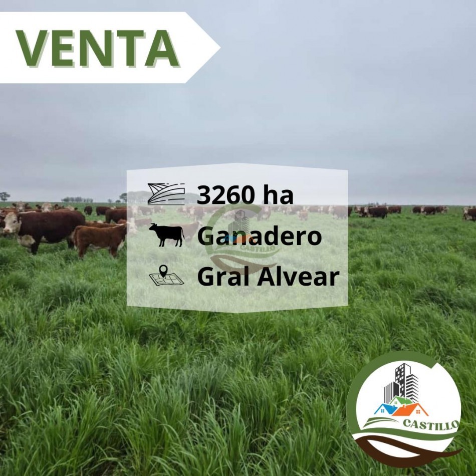 3275 ha ganaderas - general alvear