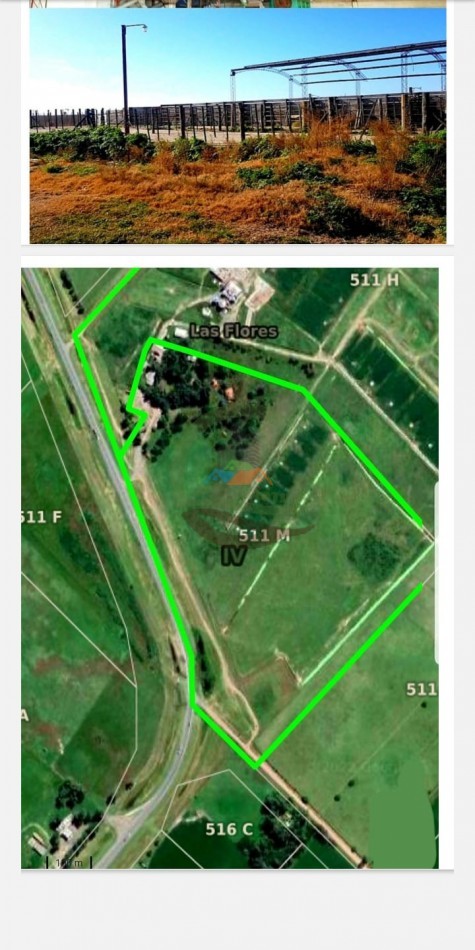 109 ha Feed Lot - Las Flores