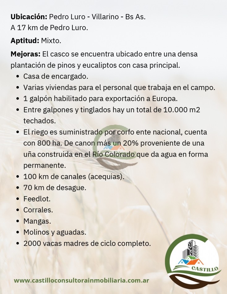 2500 ha mixtas - pedro luro