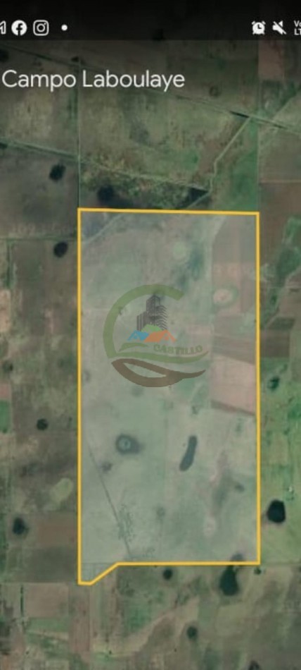 1320 ha Mixtas - Laboulaye