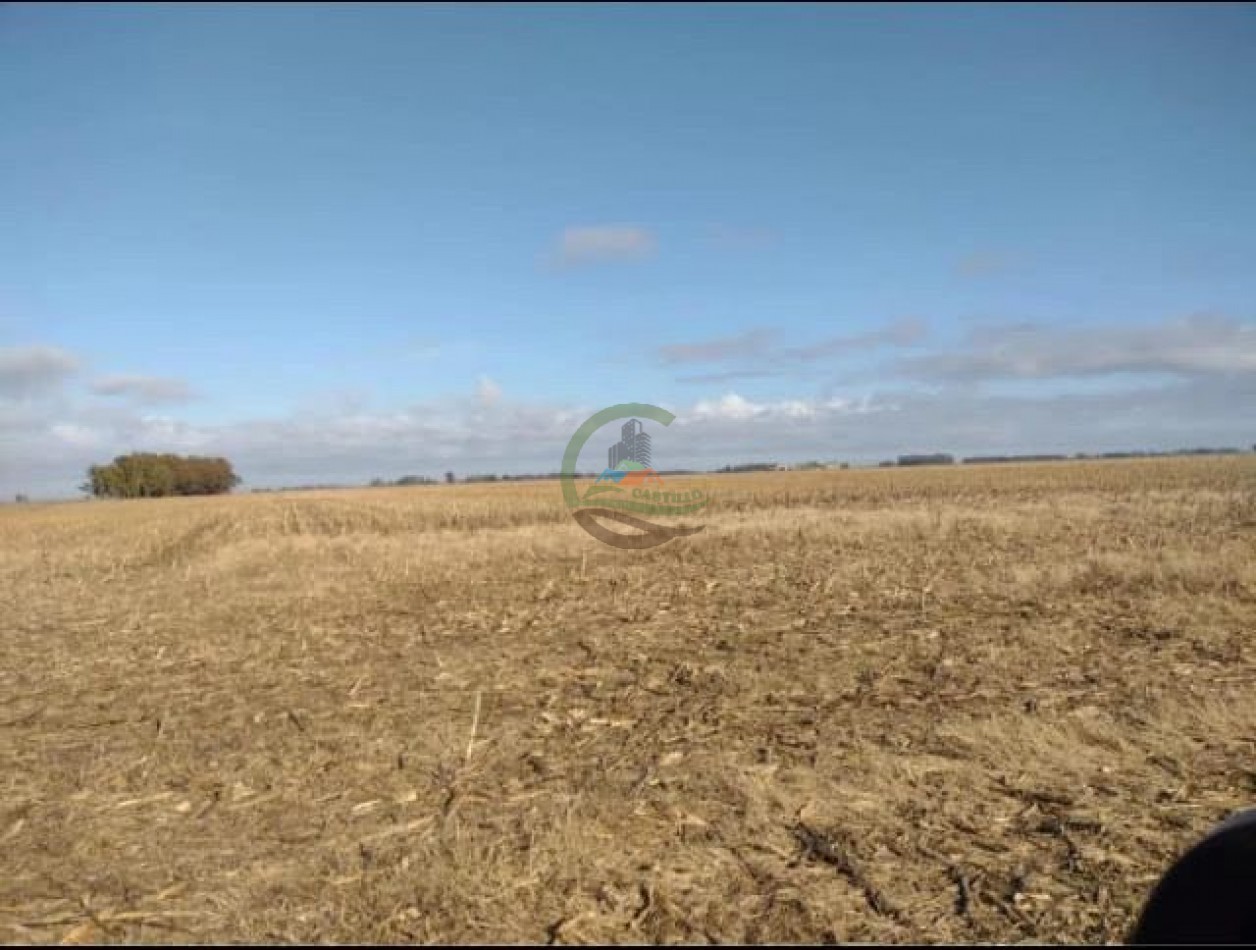 422 ha Agricolas - Saladillo
