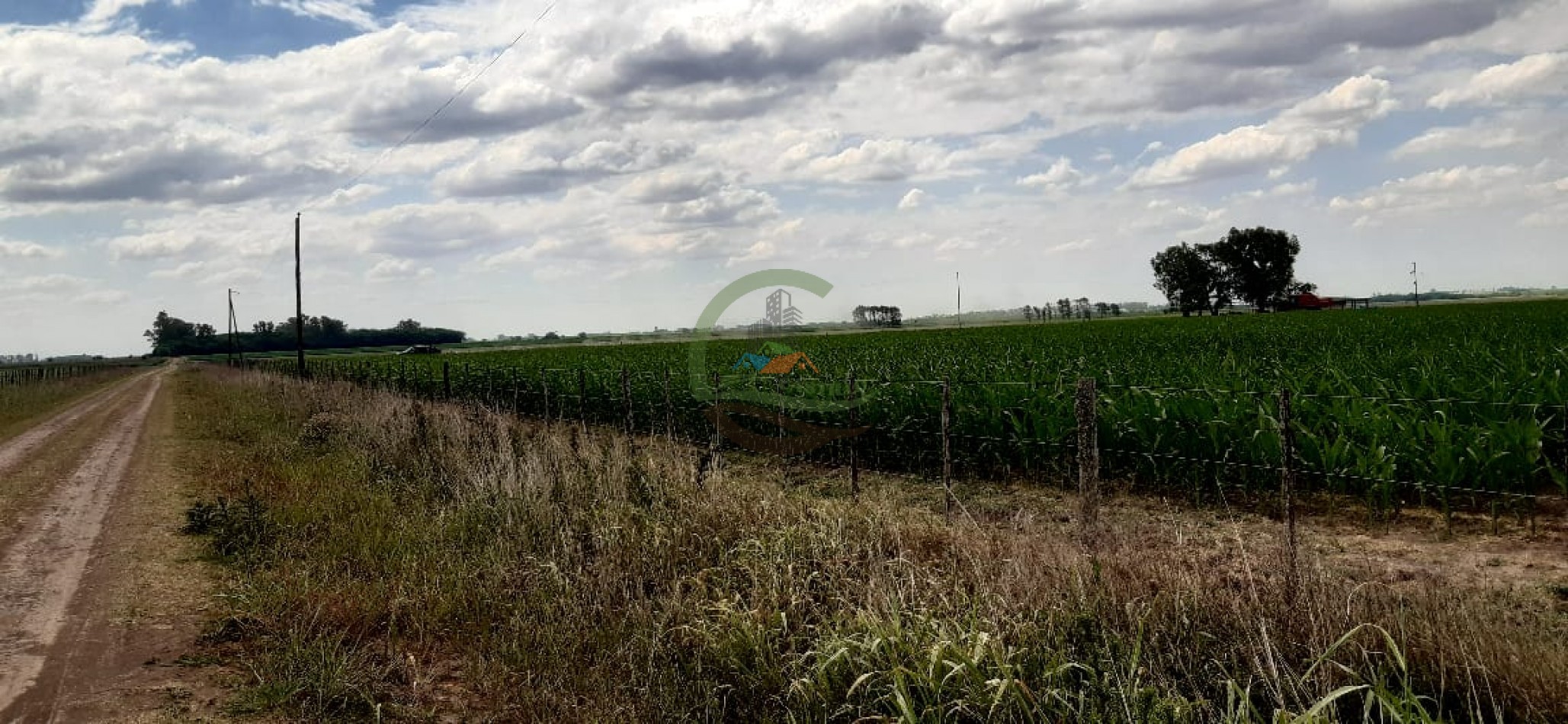 177 ha Mixtas - Pergamino 