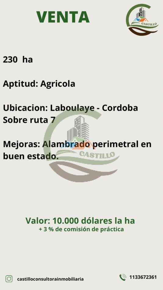 230 ha agricola - Labulaye