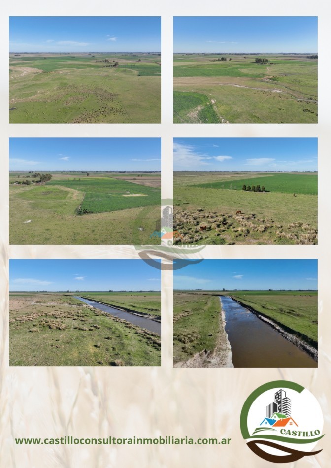 168 ha mixtas - bragado